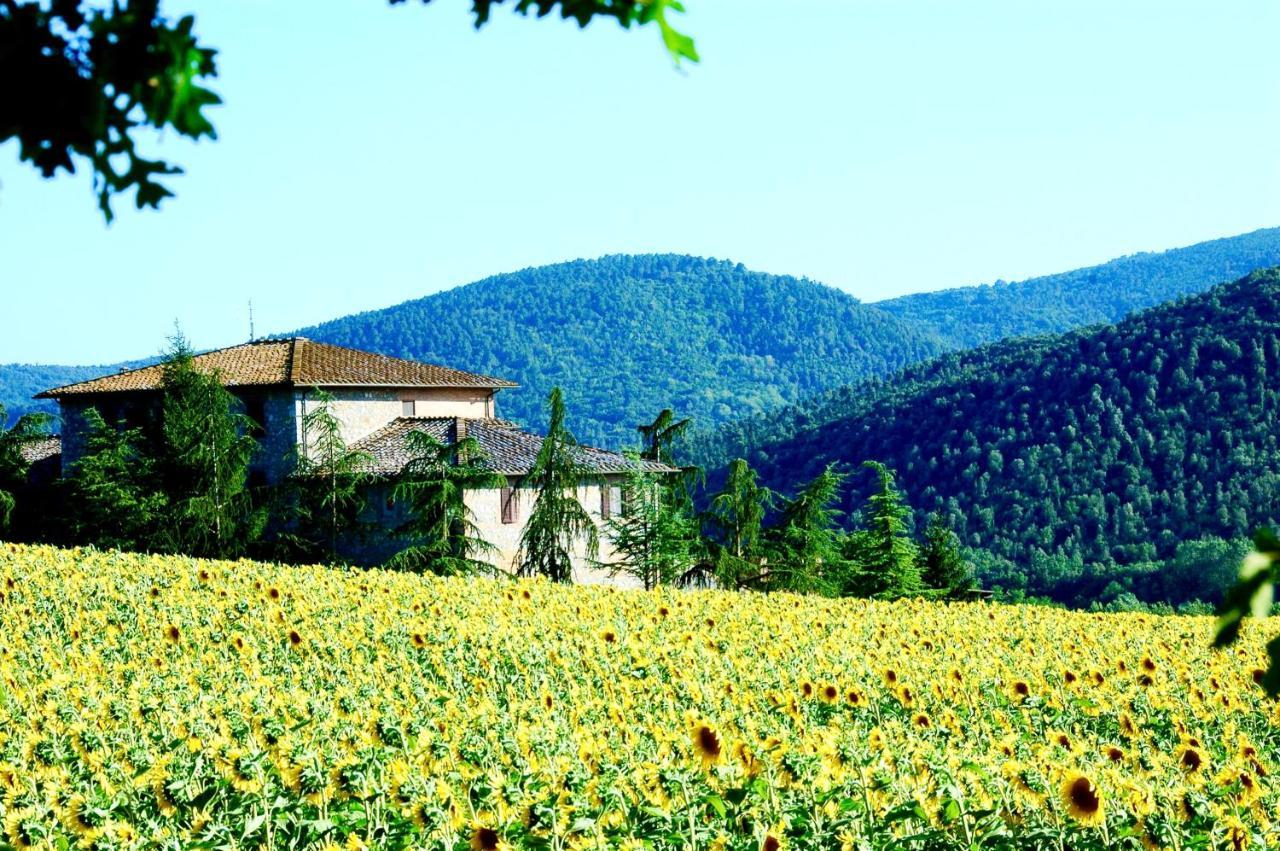 Agriturismo Montioni Sovicille Eksteriør billede